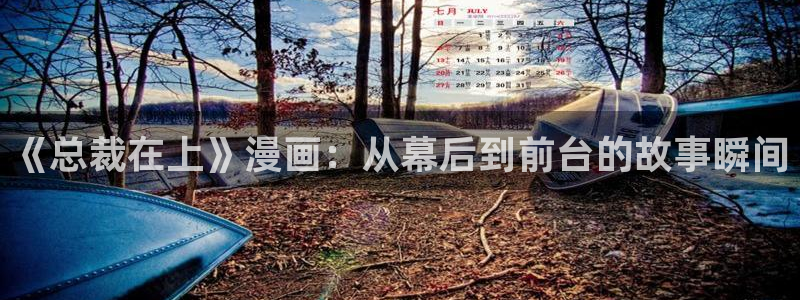 韩漫漫画全文免费阅读下拉式：《总裁在上》漫画：从幕后到前台的故事瞬间