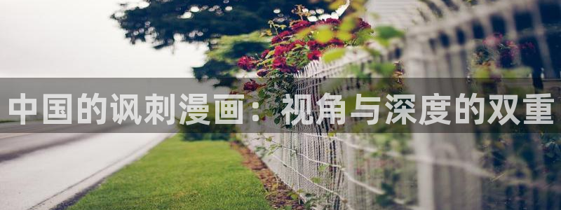 韩漫漫画免费无遮挡：中国的讽刺漫画：视角与深度的双重